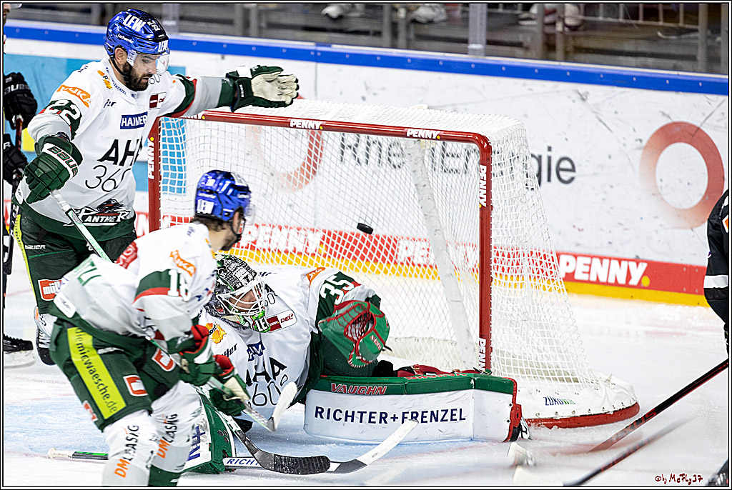 PENNY DEL;  Koelner Haie - Augsburger Panther; Koeln, 19.09.2021